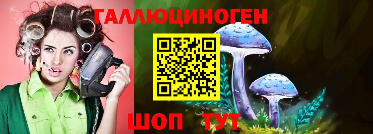 Псилоцибиновые грибы прущие грибы Кирово-Чепецк